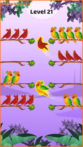 Bird Color Sort - Match Puzzle screenshot