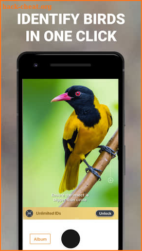 Bird Guide: Identify Birds screenshot