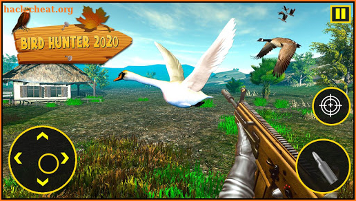 Bird Hunter 2020 screenshot