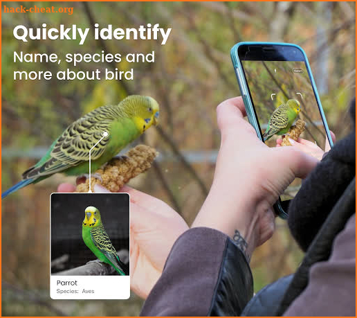 Bird identification: Picture bird identifier app screenshot