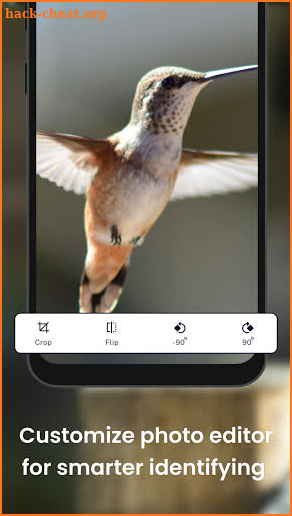 Bird identification: Picture bird identifier app screenshot