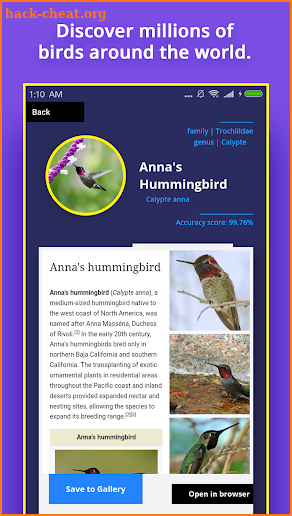 Bird Identifier screenshot