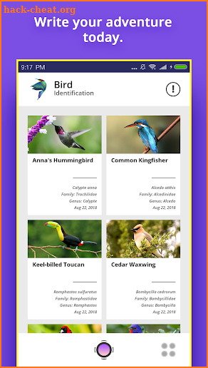 Bird Identifier screenshot