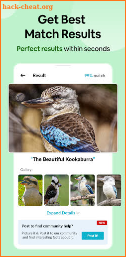 Bird Identifier: Identify Birds with photo Bird ID screenshot