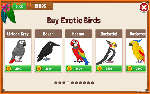 Bird Land Paradise: Pet Shop Game, Play with Bird screenshot