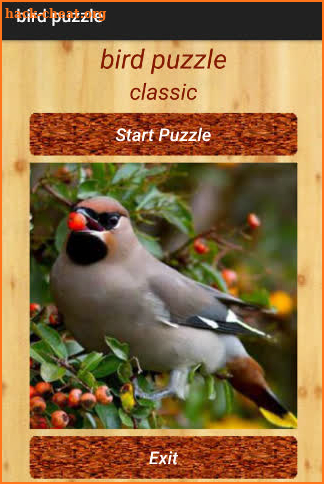 bird puzzle screenshot