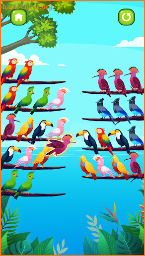 Bird Sort Puzzle screenshot