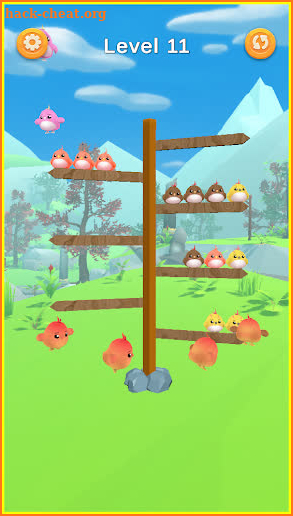 Bird Sort Puzzle:Bird Sort 3D screenshot