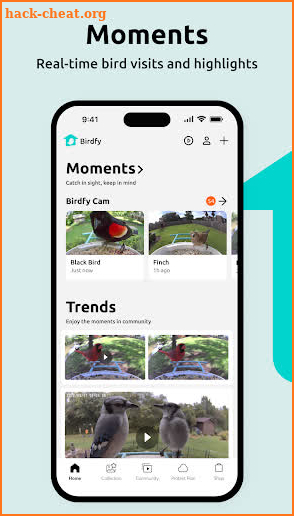 Birdfy screenshot