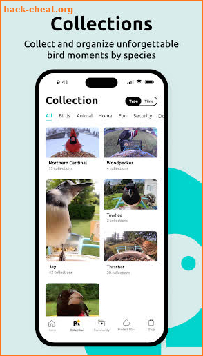 Birdfy screenshot