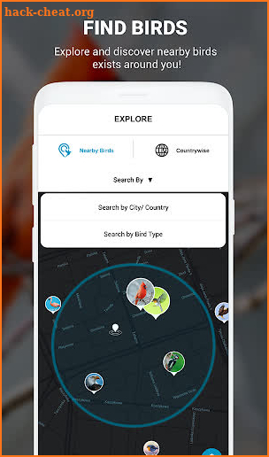 Birds Identifier App by Photo, Bird ID Camera 2020 screenshot