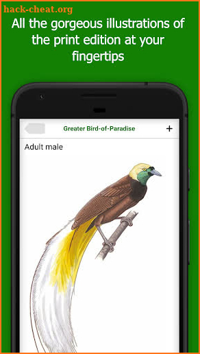 Birds of New Guinea screenshot