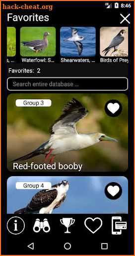 Birds of Russia Field Guide screenshot