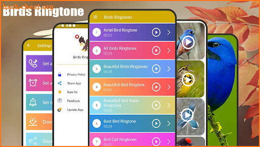 Birds Sounds & Birds Ringtones screenshot
