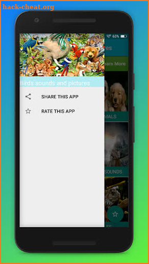 Birds sounds and pictures screenshot