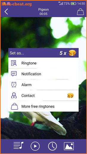 Birds Sounds Ringtones screenshot