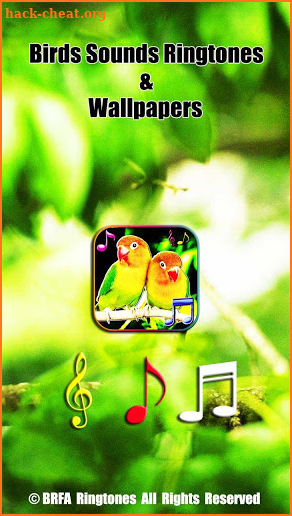 Birds Sounds Ringtones & Live Wallpapers screenshot