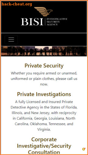 BISI Security screenshot