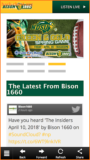 Bison 1660 screenshot