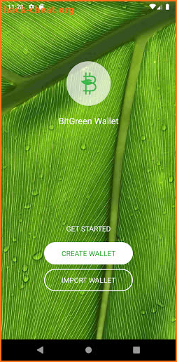 BitGreen Wallet screenshot