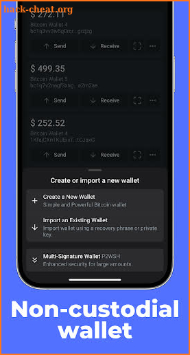 Bits: Bitcoin Wallet - BTC screenshot