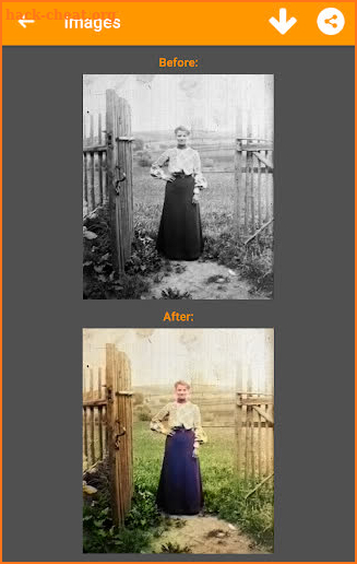 Black and White Photo Colorizer - Chromatix screenshot