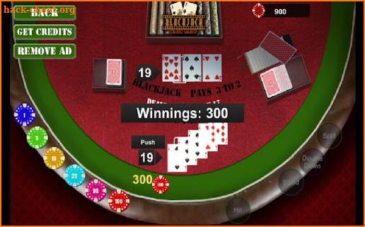 Blackjack 21 Card Game 2018 screenshot