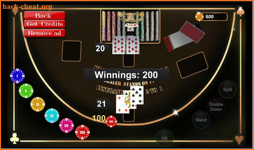 Blackjack 21 Casino Card game 2018 screenshot