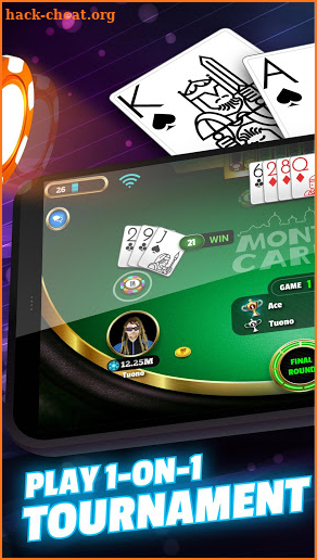 BlackJack 21 Pro screenshot