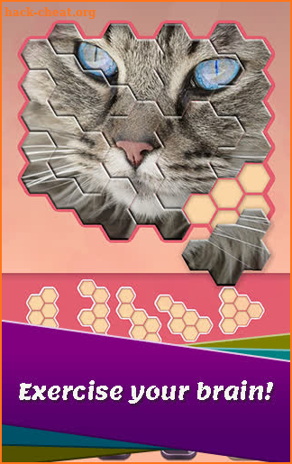 Block hexa puzzle - Animals Jigsaw screenshot