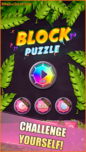 Block Puzzle: Drop and Classic screenshot