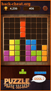 Block Puzzle - Pirate Odyssey screenshot