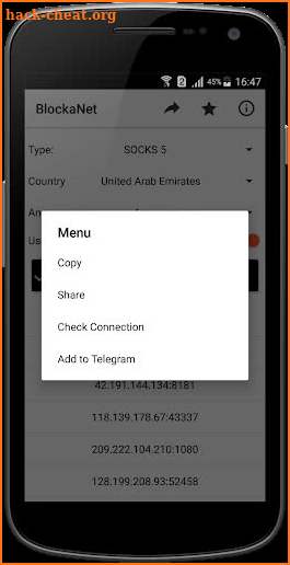 BlockaNet: Proxy List screenshot