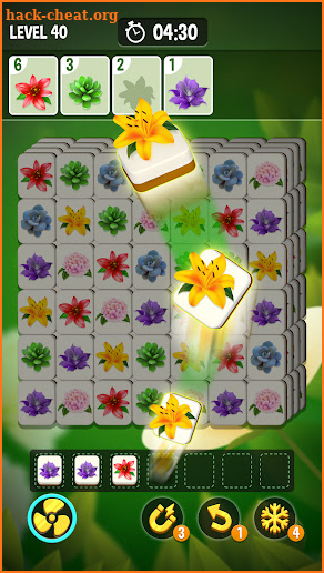 Blossom Triple: Find flowers screenshot