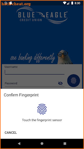 Blue Eagle Credit Union screenshot