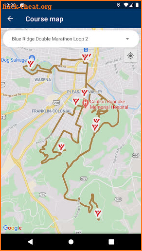 Blue Ridge Marathon 2021 screenshot