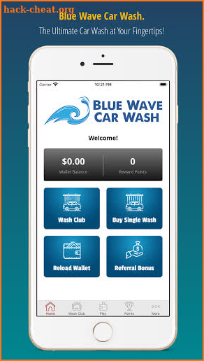 Blue Wave Car Wash screenshot