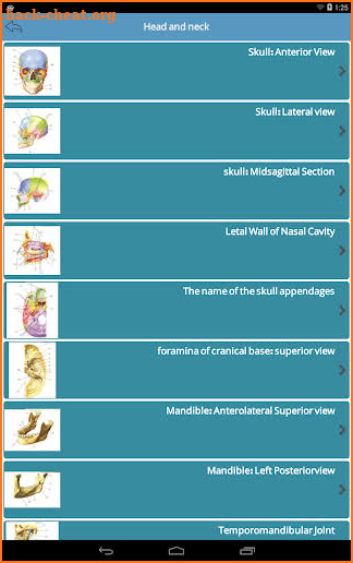 Body Anatomy (Netter) screenshot