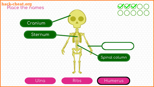 BodyQuest: Anatomy for kids screenshot