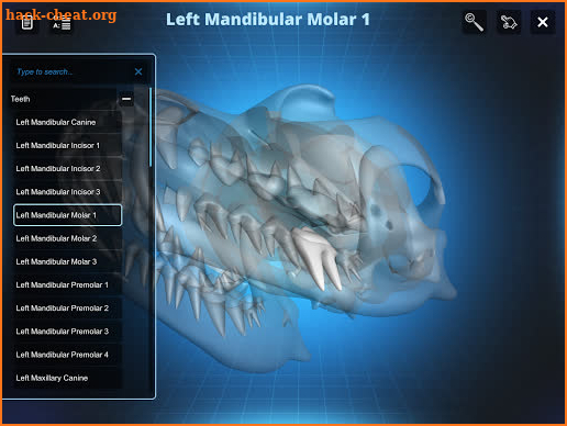 Bone Viewer - Dog Skull screenshot