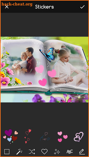 Book Dual Frames for Pictures screenshot