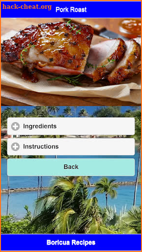 Boricua Recipes screenshot