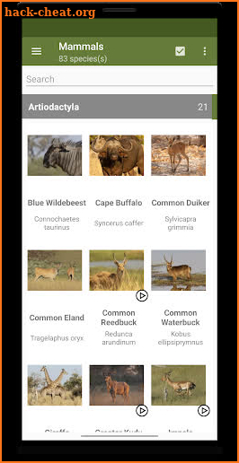 Botswana Wildlife Guide screenshot