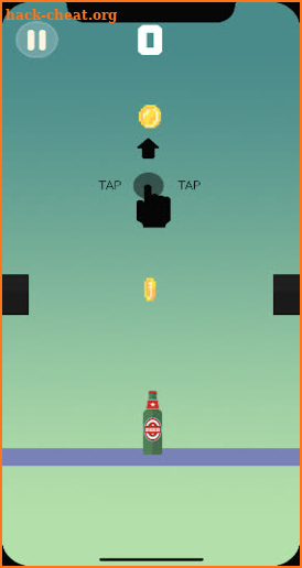 Bottle Backflip screenshot