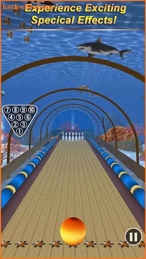 Bowling Paradise 3 screenshot