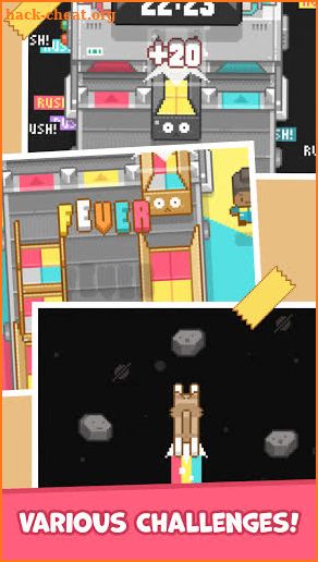 Box It Up! Inc. screenshot