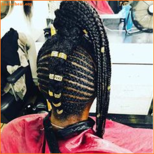 Braids Fulani Hairstyles screenshot