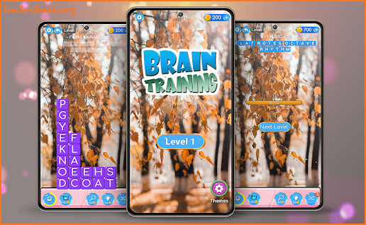 Brain Training screenshot