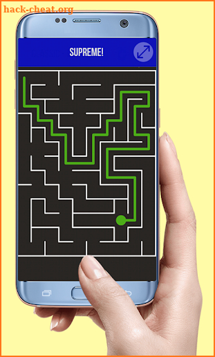 Brains it Maze screenshot