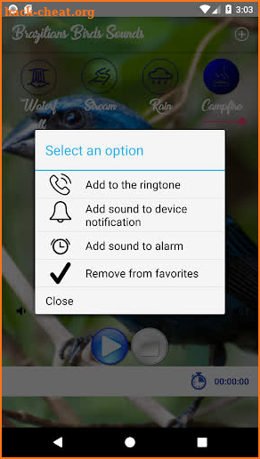 Brazilian's birds sounds screenshot